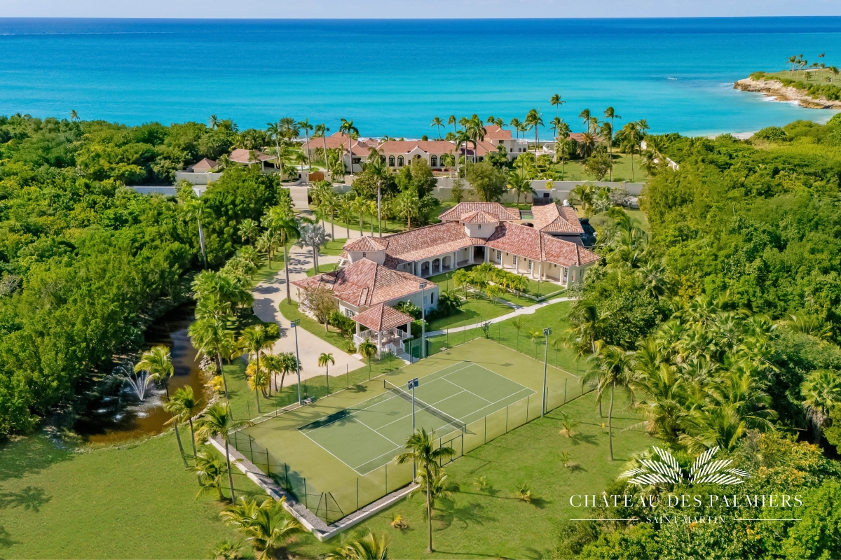 Villa Le Chateau des Palmiers